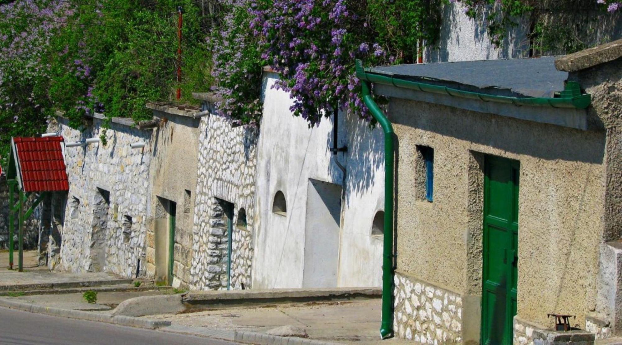 Bed and Breakfast Fenyo Panzio Mezőkövesd Exterior foto